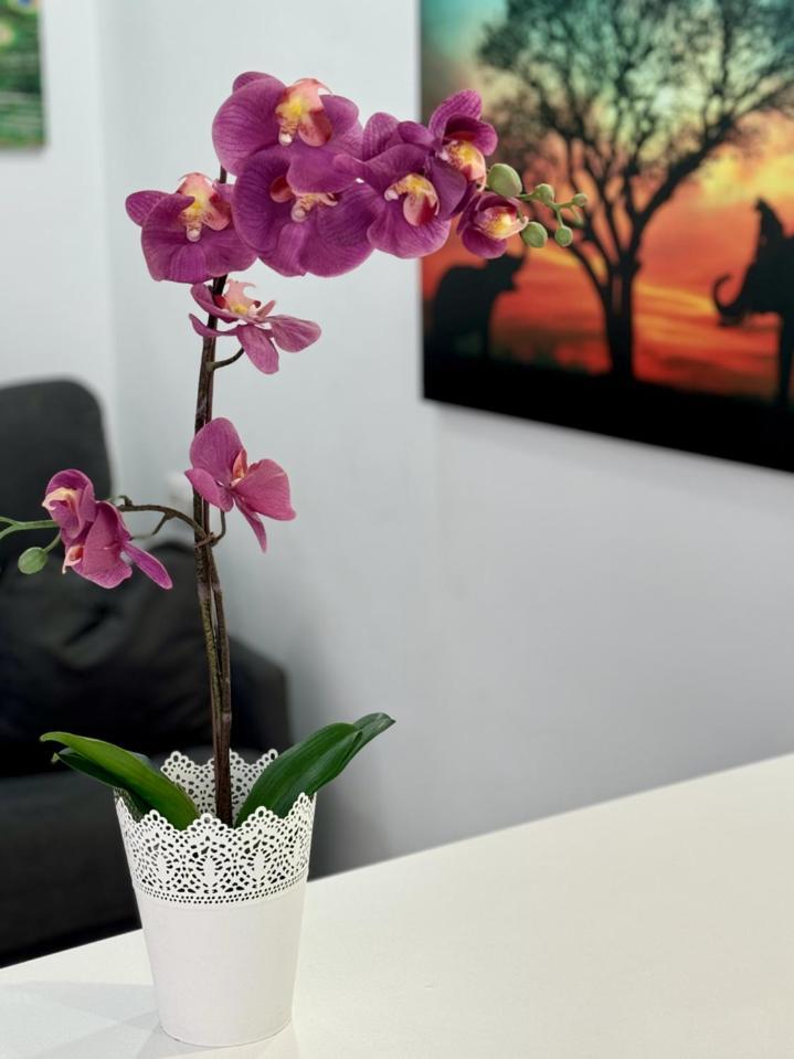 אדחה San Eugenio Charming Renovated Apartment Tenerife מראה חיצוני תמונה