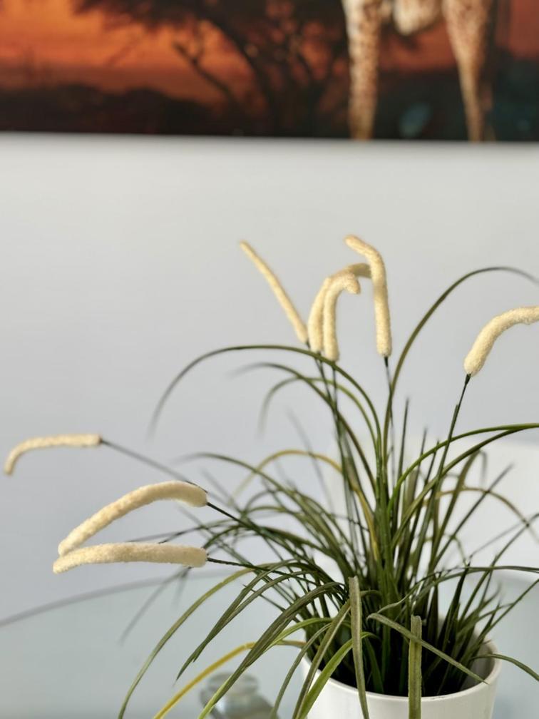 אדחה San Eugenio Charming Renovated Apartment Tenerife מראה חיצוני תמונה