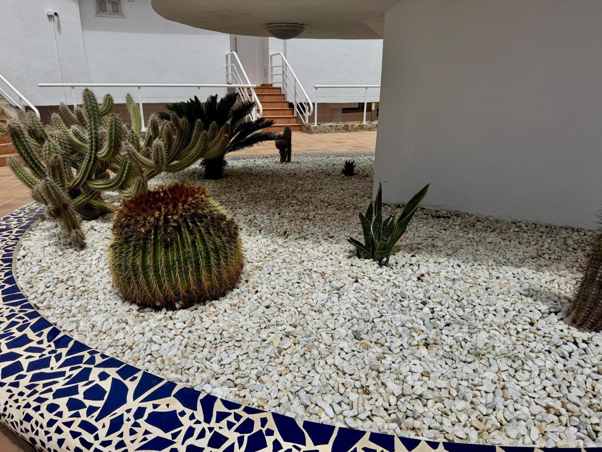 אדחה San Eugenio Charming Renovated Apartment Tenerife מראה חיצוני תמונה
